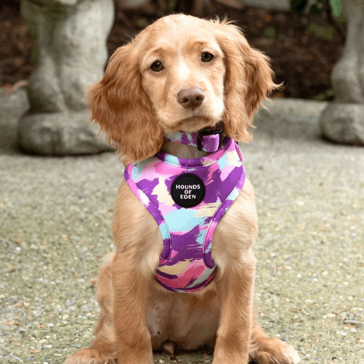 'Blush it Off' - Pink, Purple, Pastel Mint & Lemon Camo Pattern Dog Harness
