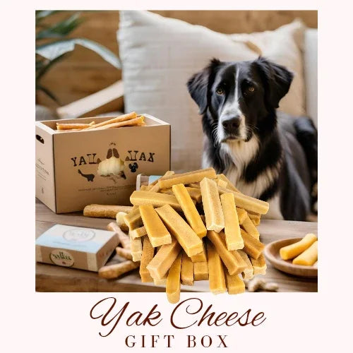 Mixed Yak Cheese Dog Chew Box