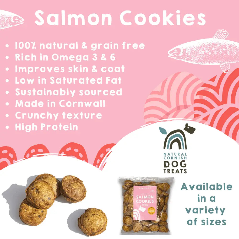 Natural Cornish Salmon & Potato Cookies