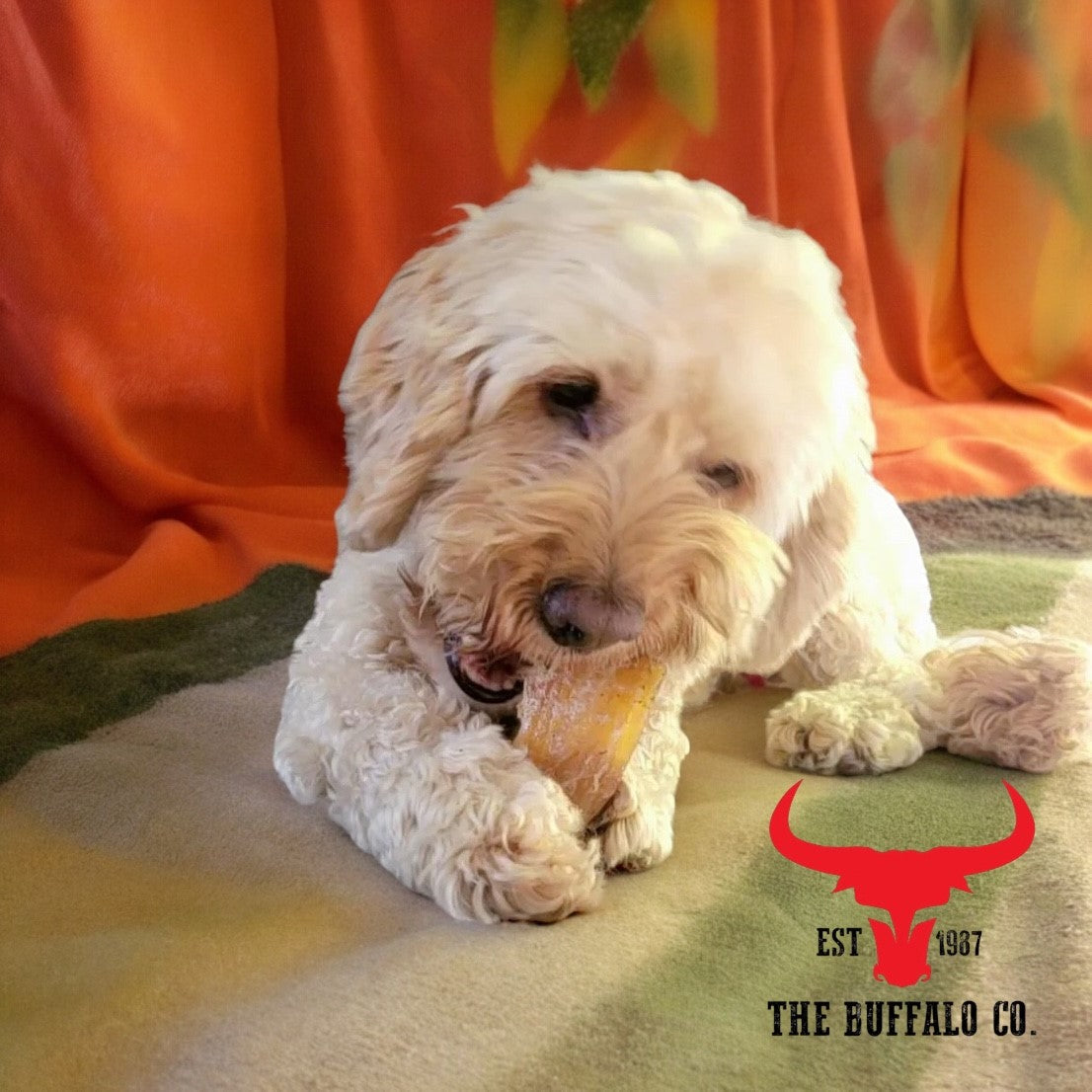 Buffalo Paddywack - Dog Treats - 1kg