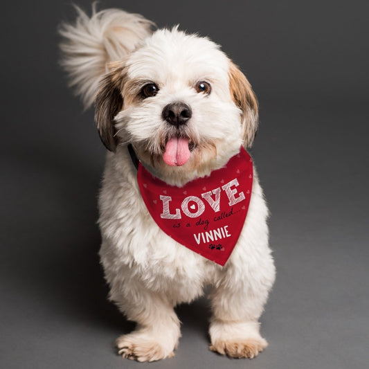 Personalised Love Is... Dog Bandana