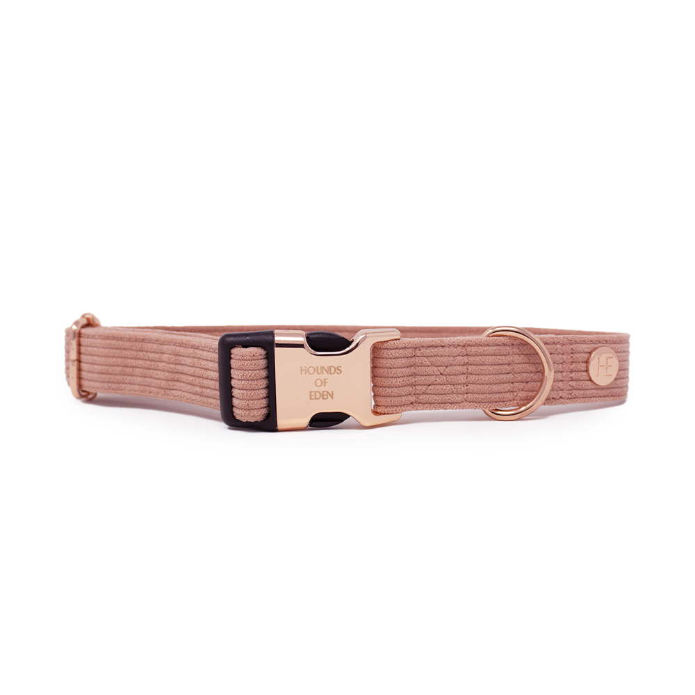 Peach Schnapps - Pink Corduroy Collar – The Bonnie Hound