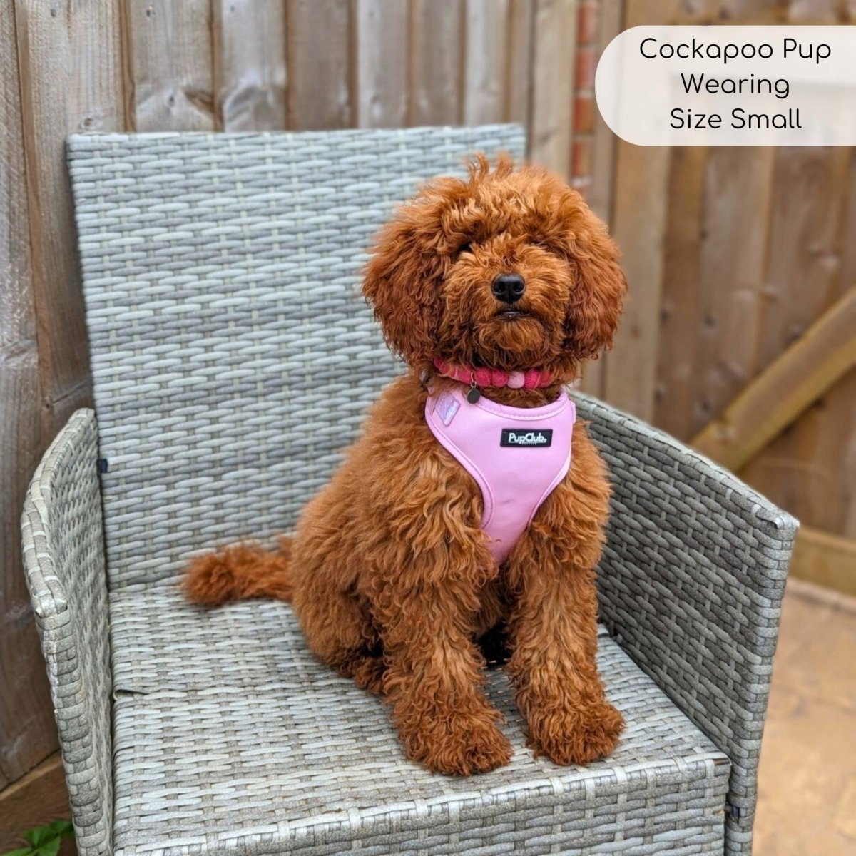 Adjustable Harness - Pastel Pink