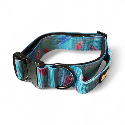 Power Peacock Tactical Dog Collar