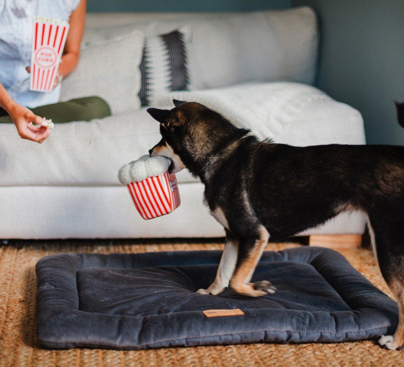 Pupcorn Plush Toy