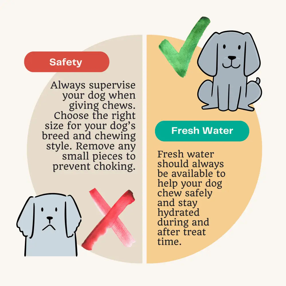 Rabbit Ear with Fur Natural Meat Chew For Dogs