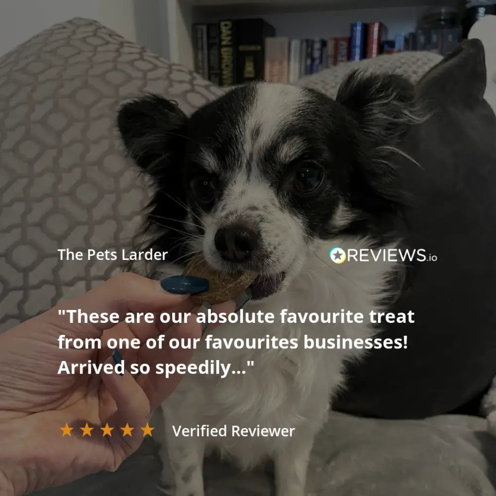 Rabbit Ear without Fur Natural Meat Chew For Dogs