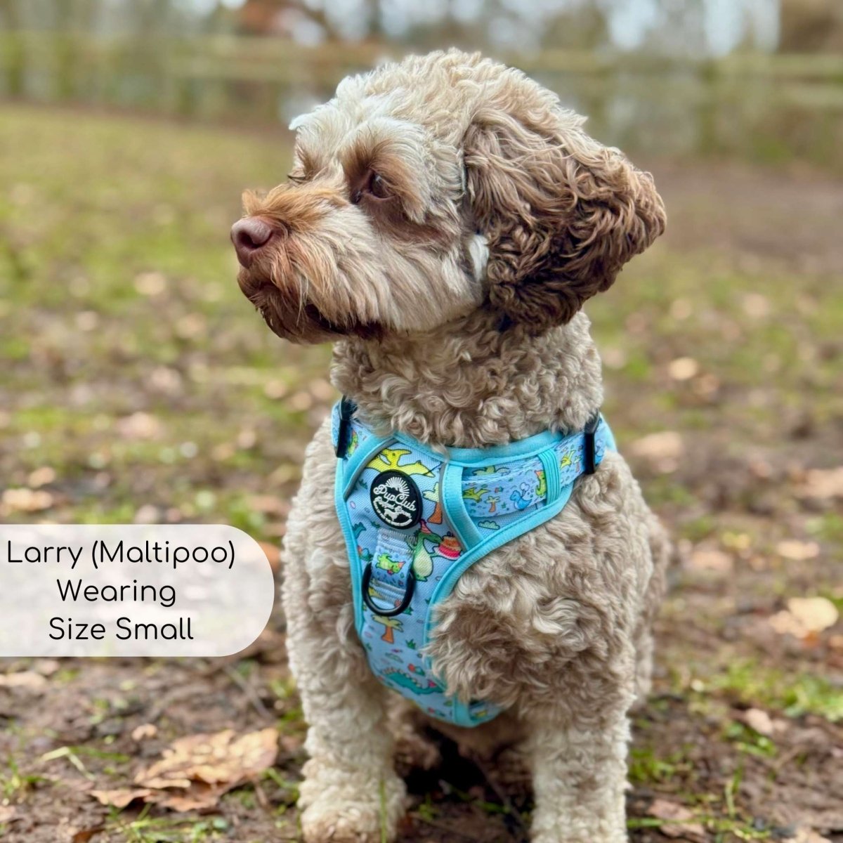 Rugged Rover™ Harness - Jurassic Party