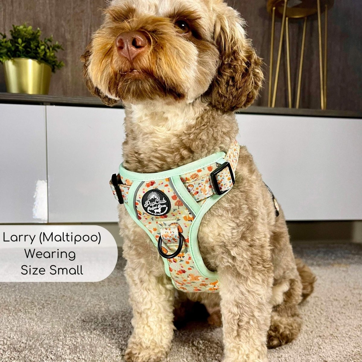 Rugged Rover™ Harness - Woodland Friends