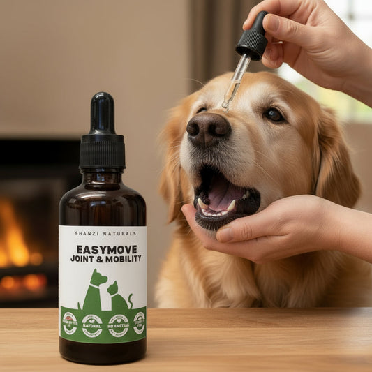 Joint & Mobility Liquid for Dogs & Cats – with Turmeric & Devil’s Claw (Easymove)