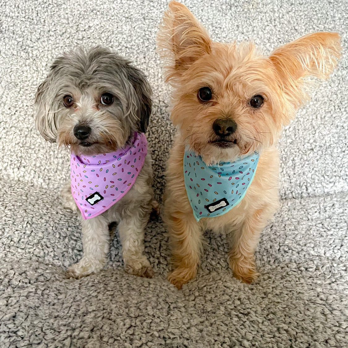 Sprinkles For Days Cooling Bandana - Pink