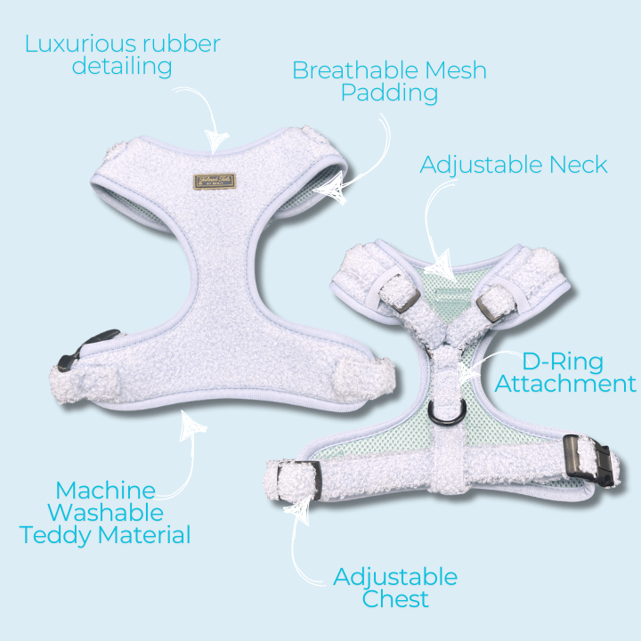 Aqua Dreams Adjustable Harness