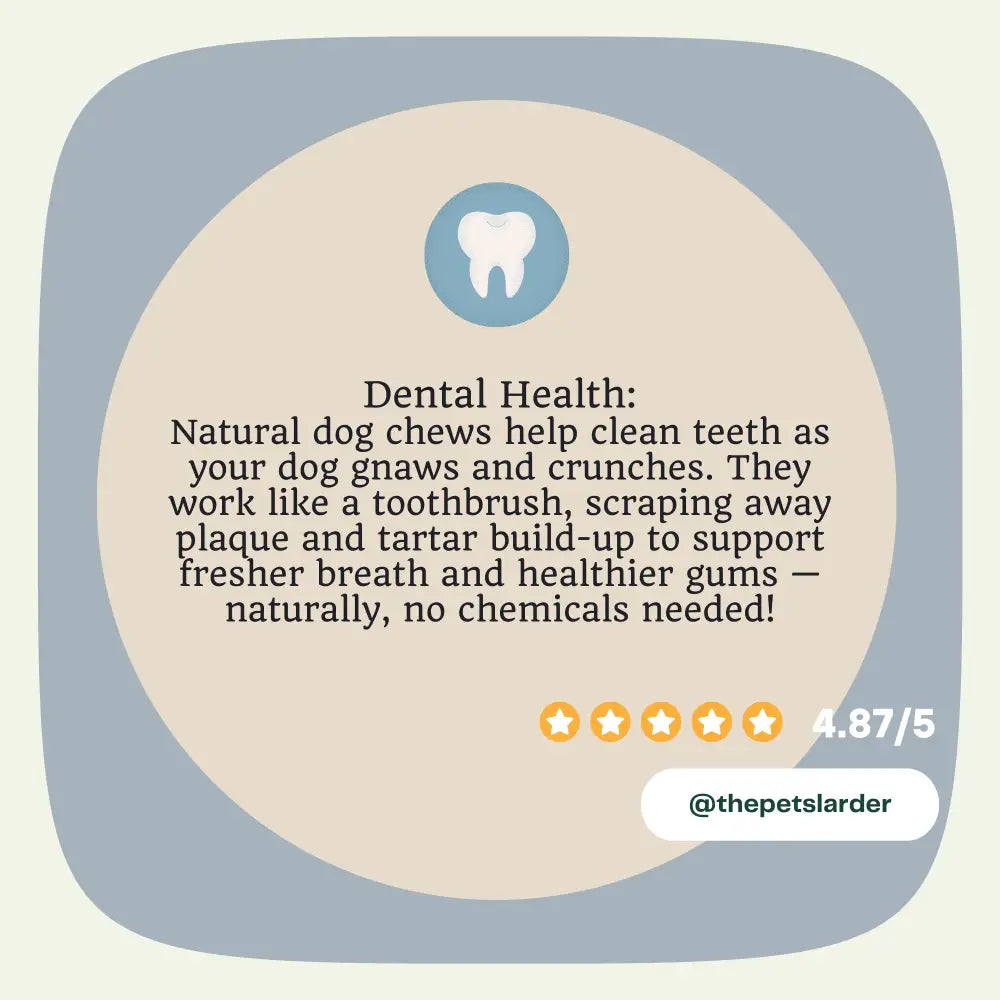 Venison Skin Natural Meat Chew For Dogs